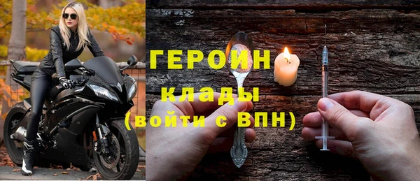 шишки Арсеньев