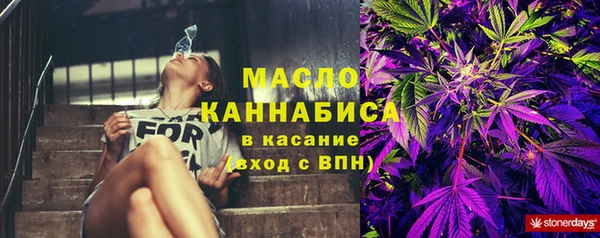 шишки Арсеньев