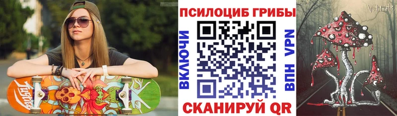 Галлюциногенные грибы Psilocybine cubensis  Советск 